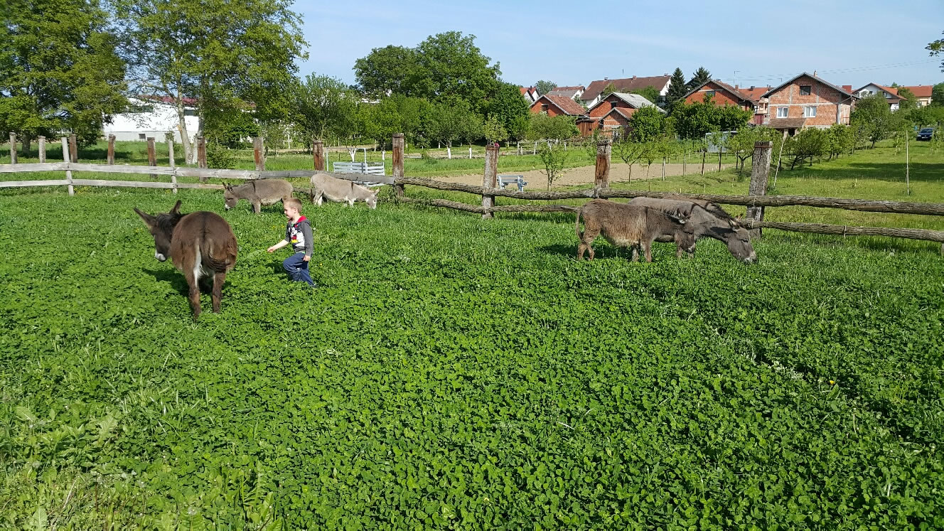 Farma magaraca Plašć